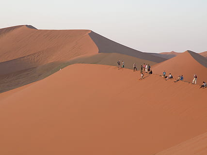 bukit pasir, namibia, pasir, gurun, sekelompok orang, tanah, pemandangan, iklim kering, iklim, scenics - alam, alam, lingkungan Hidup, langit, hari, unta, orang sungguhan, adegan non-urban, perjalanan, laki-laki, langit cerah, kelompok orang sedang, 2K, CC0, domain publik, bebas royalti