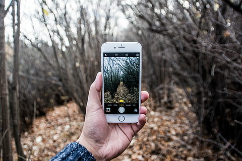 Person, nehmen, Foto, mit, iphone, Bild, getrocknet, Blätter, Wald, fallen, Handy, Telefon, Handy, Mobiltelefon, Baum, Handheld-Computer, tragbar, Mobiltelefon, Gadget, Selfie, Smartphone, metum, Blatt, menschliche Hand, Technologie, Hand, kabellose Technologie, Kommunikation, halten, Fotografie-Themen, menschliches Körperteil, tragbares Informationsgerät, Bildschirm, Verbindung, Fokus auf den Vordergrund, eine Person, Fotografieren, Natur, telefonieren, draußen, Finger, 2K, CC0, gemeinfrei, lizenzfrei