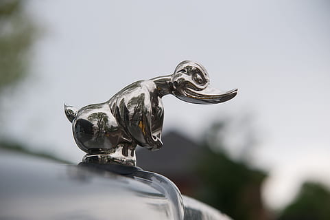 auto, adler, oldtimer, klassiker, nærbilde, detalj, kul figur, automotive, pkw, vintage bilutstilling, vintage bilbil, automatisk detalj, gammel, historisk, oldtimer gp, vintagebil, representasjon, dyr representasjon, dag, dyr, dyre temaer, kunst og Håndverk, metall, natur, selektiv fokusering, skulptur, utendørs, ingen folk, fokusere på forgrunnen, himmel, statue, sølvfarget, ett dyr, dyreliv, håndverket, 4K, CC0, offentlig domene, opphavsrett gratis