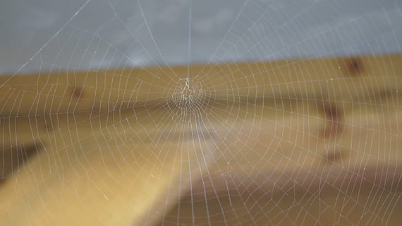 web, spider web, web, ragno, ragnatela, web, nessuno, bagnato, natura, modello, giorno, all'aperto, fragilità, vulnerabilità, avvicinamento, ragno, temi animali, modello naturale, concentrarsi sulle conoscenze acquisite, artropodo, aracnide, animale, invertebrato, bellezza nella natura, fotogramma intero, sfondi, concentrico, complessità, rugiada, 4K, CC0, dominio pubblico, privo di copyright
