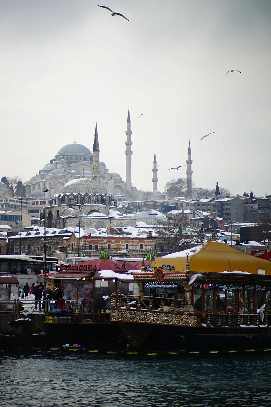 Moschee, Schnee, Truthahn, Fluss, Tag, Wasserfahrzeug, draußen, die Architektur, Himmel, Gebäudehülle, gebaute Struktur, Wasser, Stadt, Gebäude, Ufergegend, Religion, Anbetungsstätte, Transport, Glauben, Vogel, Spiritualität, Wirbeltier, Reise, Stadtbild, keine Leute, 5K