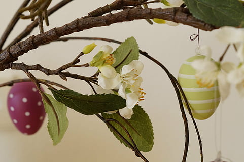 easter greeting, easter branch, branch, easter, happy easter, easter egg, decoration, easter theme, easter bouquet, spring, customs, deco, painted egg, egg, plant, close-up, flower, growth, fragility, flowering plant, vulnerability, focus on foreground, tree, beauty in nature, freshness, leaf, nature, no people, plant part, petal, twig, outdoors, day, springtime, flower head, 5K, CC0, public domain, royalty free