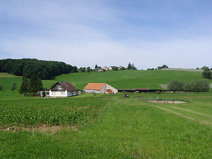 Tyskland, landskab, skyer, naturskøn, himmel, gård, landdistrikterne, rustik, hus, hjem, lade, udstyr, landbrug, felter, Skov, træer, majs, afgrøder, natur, uden for, Land, landskabet, sommer, forår, landlige scene, Mark, ikke-urbane scene, scenics, grøn farve, udendørs, eng, græs, landskaber, plante, jord, arkitektur, bygget struktur, miljø, bygning, bygning udvendig, træ, vækst, scenics - natur, ingen mennesker, sommerhus, 1080P, CC0, offentligt domæne, royaltyfrie