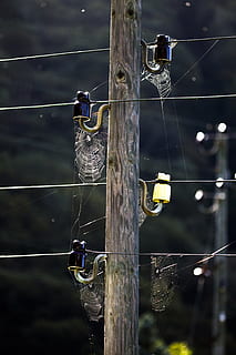 spider webs, cobweb, network, strommast, power line, cable, focus on foreground, protection, connection, outdoors, pole, electricity, power supply, occupation, day, nature, no people, technology, low angle view, wood - material, security, hanging, safety, working, wooden post, 5K, CC0, public domain, royalty free