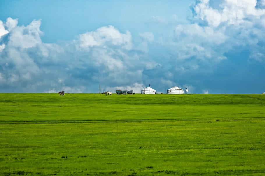 edifici, camp de gespa, muntanyós, gel, prat, núvol, bayan audio bo, mongolia, agricultura, naturalesa, escena rural, granja, camp, cel, paisatge, blau, núvol - cel, color verd, medi ambient, herba, terra, planta, bestiar, bellesa a la natura, cap gent, escenics - natura, animals domèstics, nacional, mamífer, arquitectura, a l'aire lliure, 4K