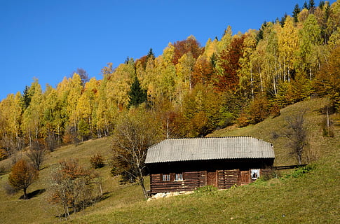 Marrone, Casa, versante, casa marrone, autunno, natura, scena rurale, paesaggio, albero, architettura ed edifici, Paesaggi, all'aperto, nessuno, immagine a colori, fienile, scena non urbana, pianta, architettura, bellezza nella natura, modificare, crescita, cielo, giorno, scenics - natura, struttura costruita, la tranquillità, terra, scena tranquilla, esterno dell'edificio, collezione autunnale, 2K, CC0, dominio pubblico, privo di copyright
