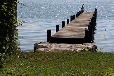web, passerella, lago, acque, banca, molo, acqua, emorroidi, nessuno, pianta, natura, giorno, legno - materiale, la tranquillità, di fila, scena tranquilla, erba, bellezza nella natura, all'aperto, struttura costruita, inviare, architettura, terra, scenics - natura, post in legno, lungo, 2K, CC0, dominio pubblico, privo di copyright