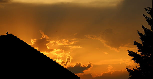 solnedgang, skygge, Sky, orange, tag, sky - himmel, himmel, skønhed i naturen, silhuet, natur, scenics - natur, træ, ro, ingen mennesker, orange farve, dramatisk himmel, bjerg, sollys, udendørs, rolig scene, idyllisk, miljø, majestætisk, 4K, CC0, offentligt domæne, royaltyfrie