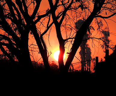 Puut, saastuminen, sol, auringonlasku, valoa vastaan, siluetti, puu, kasvi, taivas, runko, kauneus luonnossa, puun runko, luonto, tyyneys, haara, ei ihmisiä, oranssi väri, rauhallinen kohtaus, maisemat - luonto, maa, paljas puu, ulkona, aurinko, metsä, 4K, CC0, public domain, rojaltivapaa