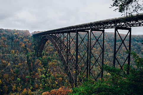 arquitectura, puente, bosque, verdor, naturaleza, puente ferroviario, puente de arco de acero, arboles, Valle, puente - estructura hecha por el hombre, río, lugar famoso, al aire libre, scenics, conexión, estructura construida, planta, transporte, árbol, cielo, nadie, arco, puente de arco, día, transporte ferroviario, tierra, nube - cielo, metal, columna arquitectonica, 4K, CC0, dominio público, libre de derechos