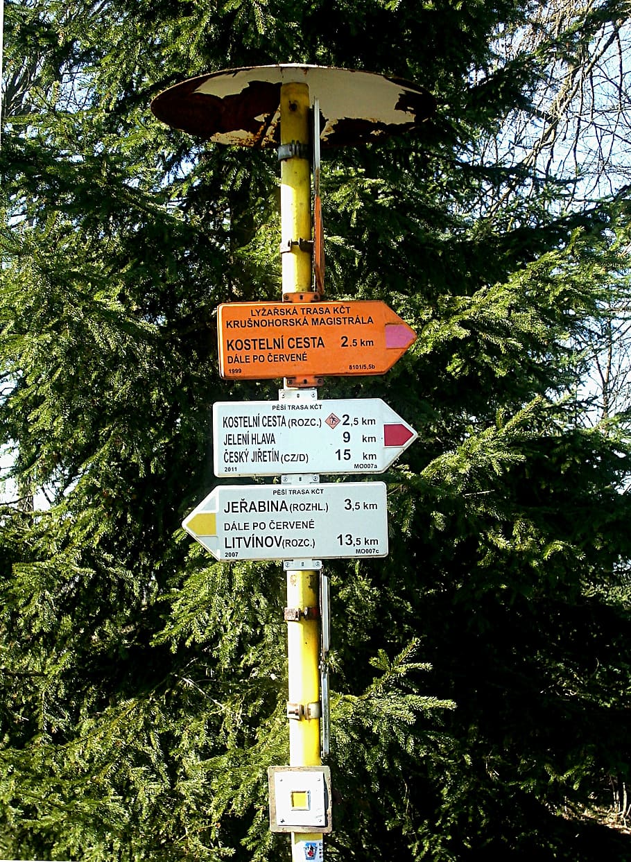 directory, puntatore del percorso, directory, percorso, pointer, elenco, puntatore del percorso, indicatori di direzione, lontano, direzione saggia, albero, testo, comunicazione, giorno, nessuno, all'aperto, pianta, cartello, sceneggiatura occidentale, polo, natura, guida, copione, informazione, sceneggiatura non occidentale, segno di informazione, colore verde, Inquadratura dal basso, crescita, segnale stradale, Messaggio, 2K