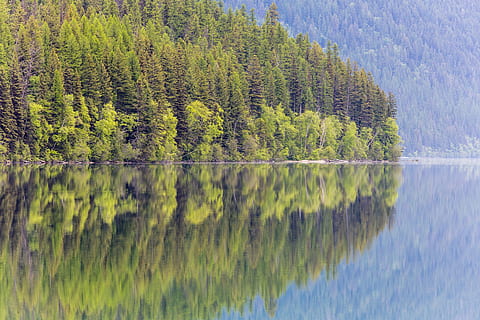 bowman lake, reflexió, arbres, bosc, boirina, muntanyes, aigua, boira, pacífica, tranquil, desert, recreació, diversió, paisatge, escènic, parc nacional de glaceres, montana, EUA, arbre, planta, bellesa a la natura, escenics - natura, tranquil·litat, escena tranquil·la, llac, davant del mar, color verd, creixement, cap gent, naturalesa, dia, muntanya, escena no urbana, idíl·lic, a l'aire lliure, arbre de coníferes, bosc de pi, 2K, CC0, domini públic, lliure de regalies