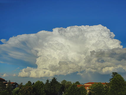 mrak, nebe, bílý, mraky, modrý, zvláštní, ve formě mraků, cloudformace, kupovité mraky, mrak - nebe, strom, rostlina, krása v přírodě, nikdo, scenics - příroda, Příroda, den, architektura, klidné scény, životní prostředí, exteriér budovy, budova, klid, stavba, venku, mimoměstské scény, koruny stromů, zlověstný, 4K, CC0, veřejná doména, bez autorských práv