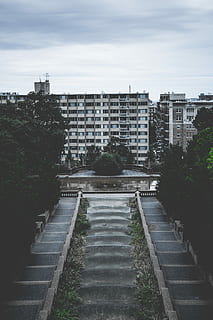 Meridian Hill Park, Foto, Beton, Gebäude, neben, Bäume, Wolke, die Architektur, Wasserfall, Wasser, Schritte, Baum, Wohnungen, Buchse, Park, Stadt, Struktur, Fotografie, dc, gebaute Struktur, Gebäudehülle, Pflanze, Treppe, Himmel, Natur, keine Leute, Richtung, der Weg nach vorn, Tag, draußen, Stufen und Treppen, wolke - himmel, Wohngegend, Park - menschgemachter Raum, 5K, CC0, gemeinfrei, lizenzfrei