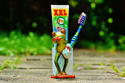 Zahnpasta, Frosch, Zahnbürste, Zähne putzen, Hygiene, sauber, Zahn, Zahnbürstenkopf, Bürste, Zahnpflege, Gesundheit, Zahnhygiene, Sauberkeit, Bürstenkopf, Pflege, lustig, süß, Spielzeug, Fokus auf den Vordergrund, keine Leute, Darstellung, menschliche Darstellung, Kunst und Handwerk, Tag, mehrfarbig, draußen, Figur, Straße, Kreativität, Natur, Spaß, Pflanze, Essen und Trinken, Baum, 5K, CC0, gemeinfrei, lizenzfrei