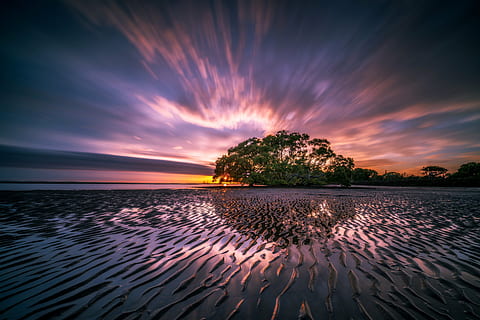 Basso, foto leggera, alberi, corpo, acqua, paesaggio, riflessione, onde, increspature, colore, lunga esposizione, Alba, nuvole, colorato, Spiaggia di sabbia, formazione, curve, Linee, oceano, mare, spiaggia all'alba, paesaggio dell'alba, luce del sole, scena, spiaggia nudge, naturale, soleggiato, luce, splendore, sole, colori, albero, tramonto, natura, spiaggia, cielo, crepuscolo, estate, all'aperto, bellezza nella natura, nuvola - cielo, scenics - natura, la tranquillità, terra, scena tranquilla, idilliaco, orizzonte sull'acqua, nessuno, clima tropicale, pianta, 8K, CC0, dominio pubblico, privo di copyright