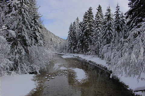 Bach, Bäume, winterlich, Schnee, tiefer Schnee, Wasser, kalt, Natur, Landschaft, Weiß, Winterzauber, Österreich, Wandern, Berge, romantisch, Wintertraum, Stimmung, idyllisch, Baum, Winter, kalte Temperatur, keine Leute, Pflanze, Schönheit in der Natur, Ruhe, Szenen - Natur, Himmel, ruhige Szene, Nicht-städtische Szene, Tag, Berg, Wachstum, Fluss, draußen, fließendes Wasser, schneebedeckter Berg, 5K, CC0, gemeinfrei, lizenzfrei