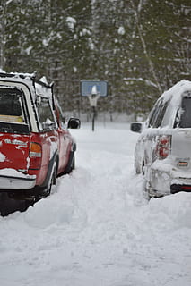 zimowy, śnieg, odebrać, środek transportu, samochód, pojazd silnikowy, transport, zimna temperatura, pojazd lądowy, Natura, dzień, Droga, podróżować, drzewo, pokrycie, burza, mrożony, biały kolor, ekstremalna pogoda, żadnych ludzi, burza śnieżna, na dworze, samochód sportowo-użytkowy, 5K, CC0, domena publiczna, darmowe zdjęcia