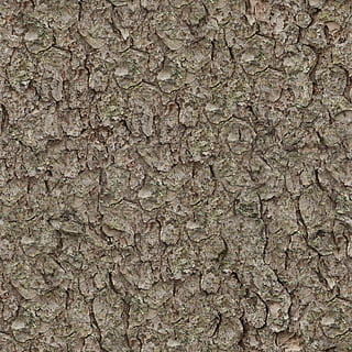 untitled, struktur, sømløs, tileable, fyrretræ, bark, natur, træ, bagagerum, baggrunde, tekstureret, fuld ramme, ru, mønster, tæt på, ingen mennesker, bygget struktur, væg, murbygningsfunktion, revnet, kopiere plads, udendørs, træstamme, dag, abstrakt, forvitret, arkitektur, tekstureret effekt, overflade niveau, blank, mættet farve, 1080P, CC0, offentligt domæne, royaltyfrie