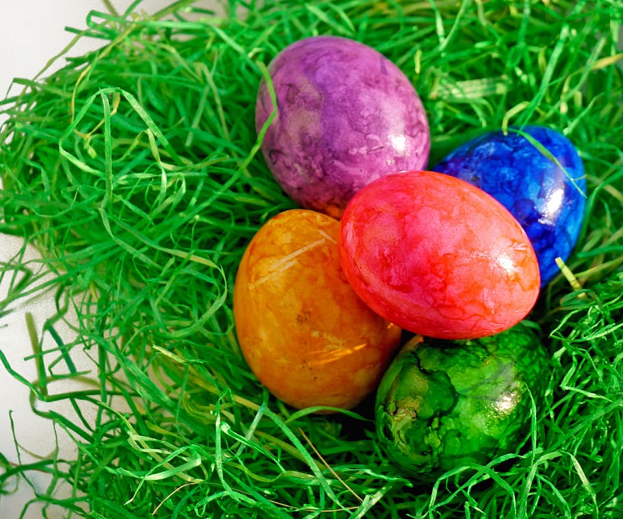 ous de Pasqua, superior, verd, niu, niu de Pasqua, ou de Pasqua, Pasqua, ou, herba, deco, de colors, colorit, color verd, multicolor, cultures, celebració, primavera, vacances - esdeveniment, primer pla, menjar, festa, menjar i beguda, cap gent, planta, natura morta, naturalesa, frescor, religió, temptació, 4K