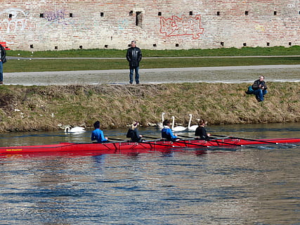 fiume, parete, canottaggio, vogatore, acqua, sport acquatici, umano, atleti, lunghezza intera, adulto, uomini, sport, lavoro di squadra, all'aperto, gruppo di persone, persone reali, persone, donne, stili di vita, giorno, attività di svago, natura, architettura, folla, mezzi di trasporto, nave nautica, 4K, CC0, dominio pubblico, privo di copyright