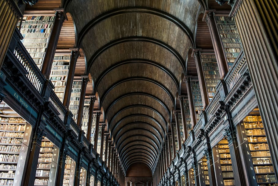 saber, manté, nosaltres, anar, biblioteca, sostre, arquitectura, fusta, edifici, vell, llibres, estudiar, llibre, pols, temps, escala, prestatge, fila, estructura construïda, vista d’angle baix, arc, a l'interior, cap gent, viatjar, història, el passat, turisme, destinacions de viatge, ciutat, dia, columna arquitectònica, característica arquitectònica, vidre - material, en fila, arquitectura i art, estil gòtic, 4K