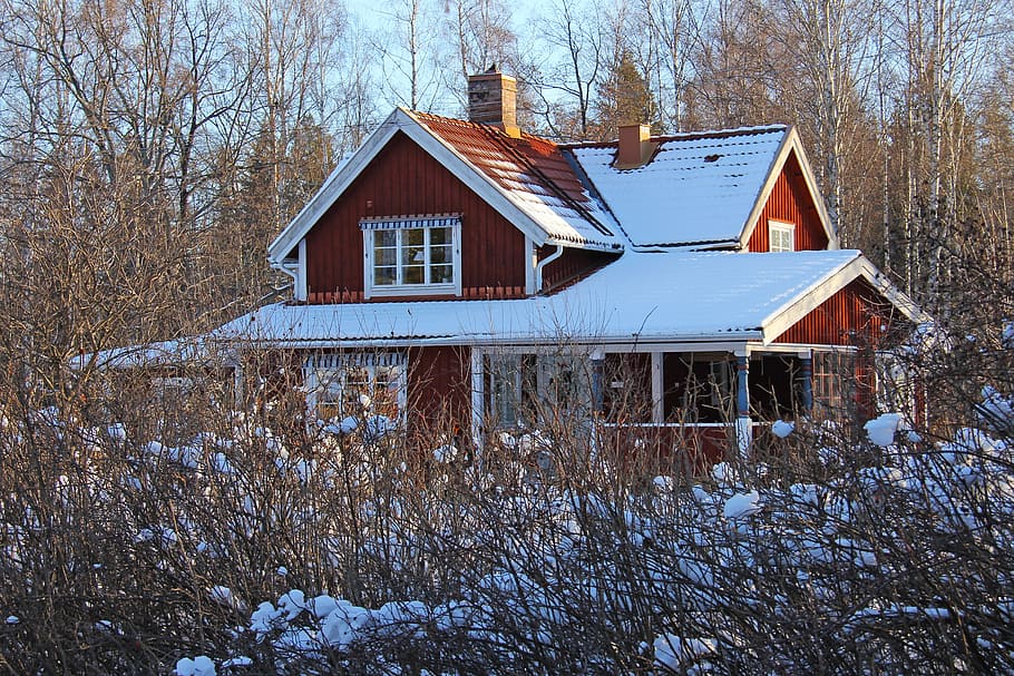 neu, hivern, fred, bonic, vermell, tradicional, fusta, casa de camp, suec, camp, casa, blanc, encantador, únic, dalarna, tallberg, suècia, europa, escandinavia, viatjar, turisme, blau, cel, vacances, escènic, arquitectura, estructura construïda, exterior de l'edifici, edifici, temperatura de fred, arbre, cap gent, naturalesa, arbre nu, planta, dia, barri residencial, terra, a l'aire lliure, cobertura, cabina, 2K