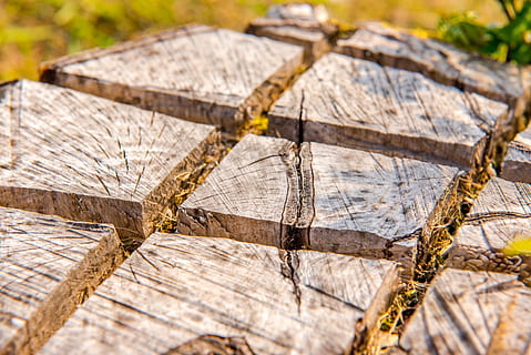 Pozadí, hnědý, okres, sekce, detail, dřevo, Příroda, vzor, prostě, struktura, zadek, textura, povrch, strom, kmen, jako, kůra, odřezal, případech, kůra stromu, lesnické práce, zavřít, dřevo - materiál, log, selektivní zaměření, nikdo, texturou, zaměřit se na popředí, venku, den, les, prasklý, rostlina, slunečního světla, průřezu, hrubý, 5K, CC0, veřejná doména, bez autorských práv