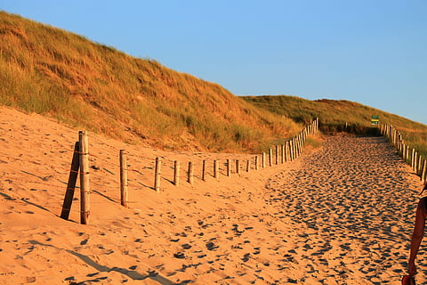 duin, dijk, weg, pad, hek, zand, kust, strand, land-, scenics - natuur, hemel, heldere lucht, milieu, natuur, rustige scène, kalmte, landschap, schoonheid in de natuur, niet-stedelijke scène, dag, geen mensen, zonlicht, woestijn, reisbestemmingen, klimaat, droog klimaat, buitenshuis, 4K, CC0, publiek domein, royaltyvrij