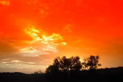 silhouette of trees, sunset, trees, silhouettes, sky, clouds, beautiful, nature, outside, country, countryside, sun, orange Color, dusk, outdoors, sunlight, sunrise - Dawn, yellow, scenics, landscape, silhouette, tree, plant, beauty in nature, scenics - nature, tranquility, tranquil scene, cloud - sky, no people, environment, idyllic, dramatic sky, non-urban scene, land, 4K, CC0, public domain, royalty free