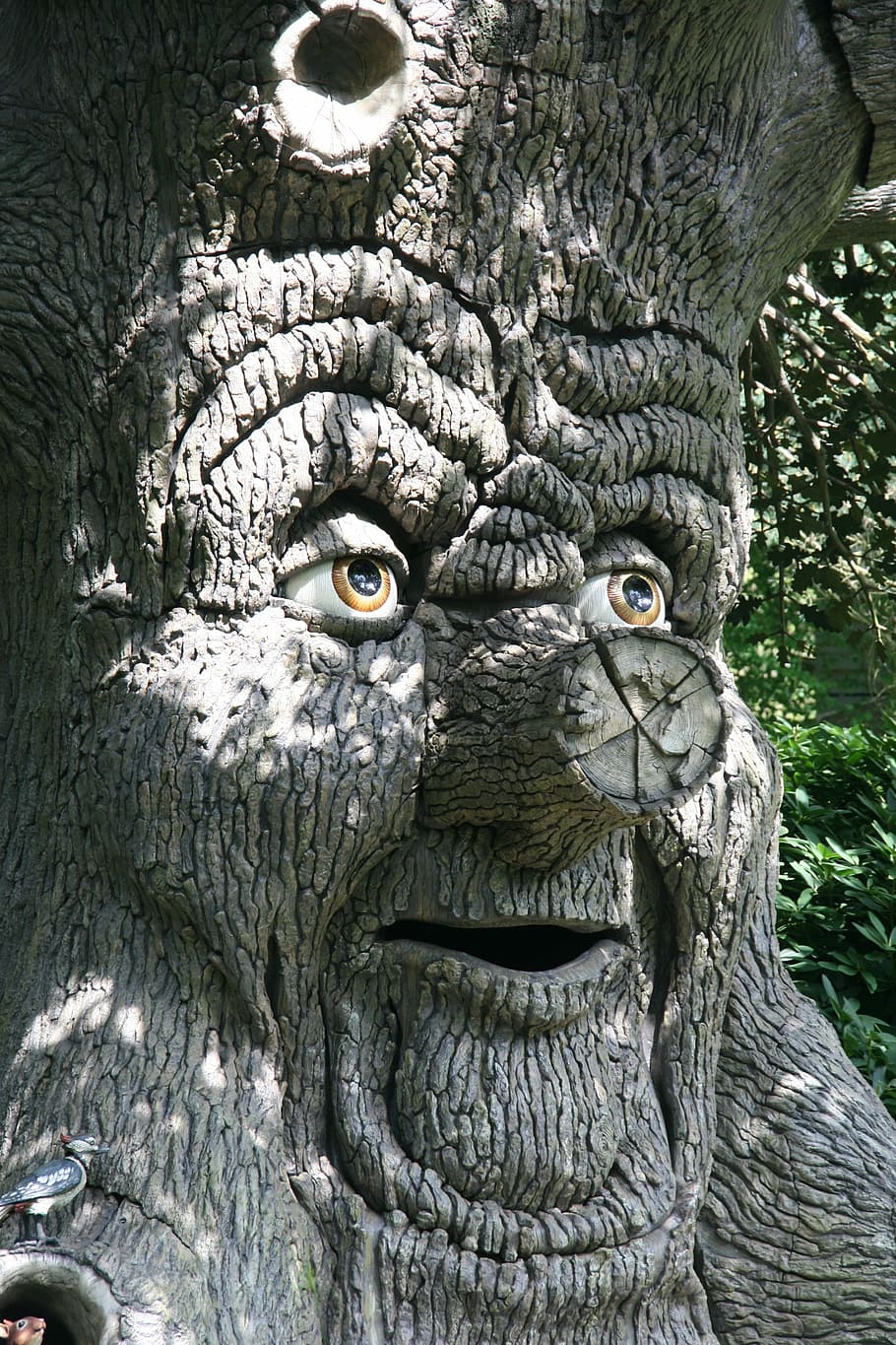 albero delle fate, Immagine, fantasia, Efteling, animale, temi animali, fauna selvatica, un animale, avvicinamento, parte del corpo animale, albero, animali allo stato selvatico, testa di animale, ritratto, giorno, nessuno, gufo, tronco d'albero, occhio animale, natura, occhio, tronco, pianta, guardando la fotocamera, baffo, aggressione, 4K