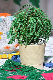 beading, tree, handicraft project, creativity, hobby, handmade, leisure, do-it-yourself, green color, no people, close-up, plant, nature, potted plant, focus on foreground, art and craft, textile, wool, decoration, growth, indoors, still life, day, christmas, craft, celebration, 5K, CC0, public domain, royalty free