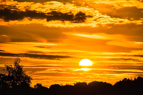 Dämmerung, Landschaft, Himmel, Sonnenuntergang, hell, dunkle Wolken, dramatisch, Gold, Stimmung, Morgensonne, draußen, Silhouette, Sonne, Sonnenaufgang, Bäume, Schönheit in der Natur, wolke - himmel, Szenen - Natur, orange Farbe, Pflanze, Baum, Ruhe, ruhige Szene, keine Leute, Natur, idyllisch, Nicht-städtische Szene, Sonnenlicht, Dramatischer Himmel, Gelb, romantischer Himmel, 5K, CC0, gemeinfrei, lizenzfrei