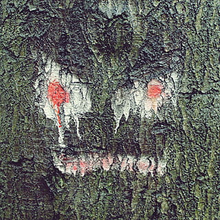 tre, ansikt, Logg, tre ansikt, natur, bark, trebark, skummel, morsom, sprayet, merke, monster, moro, anlegg, ingen folk, strukturert, dag, stamme, vekst, trestamme, veggbyggingsfunksjon, full ramme, bygget struktur, arkitektur, utendørs, nærbilde, eføy, ujevn, kreativitet, bakgrunn, kunst og Håndverk, 1080P, CC0, offentlig domene, opphavsrett gratis