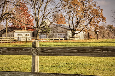 Scheune, rustikal, Scheunen, Ohio, digitale Kunst, ländlich, szenisch, Land, Landschaft, Schuppen, wirft, Bauernhof, Bauernhöfe, Landwirtschaft, landwirtschaftlich, Bauernhaus, champaign, Bezirk, Americana, Foto, fotografieren, Struktur, Strukturen, sturgell, William Sturgell, bill sturgell, historisch, Wohnkultur, Gebäude, Wolken, Himmel, Baum, Bäume, wolkig, Unkraut, Champaign County, Urbana, Pflanze, Gras, die Architektur, Natur, gebaute Struktur, Tag, kahler Baum, keine Leute, Feld, Gebäudehülle, Barriere, Grenze, Zaun, Herbst, draußen, Sonnenlicht, 5K, CC0, gemeinfrei, lizenzfrei
