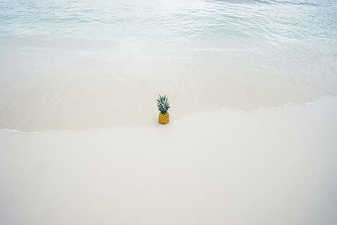 pinya, mig, vora del mar, platja, fruita, oceà, sorra, mar, aigua, naturalesa, planta, cap gent, dia, bellesa a la natura, a l'aire lliure, tranquil·litat, vista d’angle alt, terra, medi ambient, neu, temperatura de fred, hivern, arbre, flor, Color blanc, netejar, 5K, CC0, domini públic, lliure de regalies