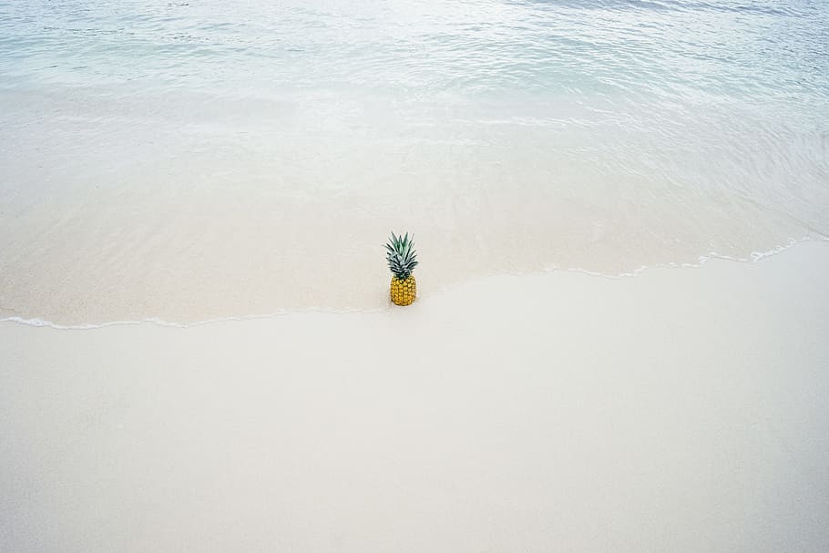 pinya, mig, vora del mar, platja, fruita, oceà, sorra, mar, aigua, naturalesa, planta, cap gent, dia, bellesa a la natura, a l'aire lliure, tranquil·litat, vista d’angle alt, terra, medi ambient, neu, temperatura de fred, hivern, arbre, flor, Color blanc, netejar, 5K