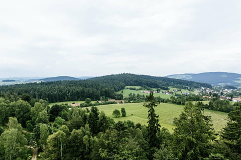 Mai Mult, destinaţie, vedere, punct de vedere, Munte, timp liber, platou, locuri de interes, turism, vacanţă, drumeții, alpinism, natură, parc natural, pădure, câmpuri, peisaj, stâncă, vedere îndepărtată, previziune, munţi, copaci, pădurea bavareză, copac, plantă, scenice - natura, frumusețe în natură, Culoarea verde, creştere, cer, o scenă liniștită, mediu inconjurator, nor - cer, liniște, teren, nici o persoana, scenă non-urbană, zi, arhitectură, în aer liber, 5K, CC0, domeniu public, fără drepturi de autor