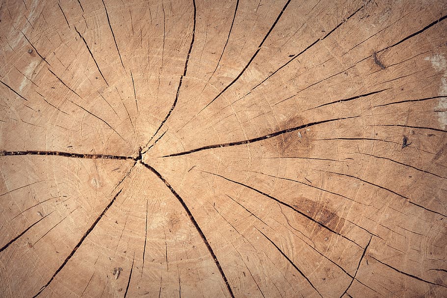 legno naturale, astratto, antico, fondale, sfondo, tavola, Marrone, costruzione, carpenteria, avvicinamento, colore, buio, arredamento, decorazione, decorativo, design, secco, pavimento, grano, grunge, legno duro, casa, interno, legname, macro, Materiale, naturale, natura, quercia, vecchio, sfondi, screpolato, strutturato, legno - materiale, anello degli alberi, pianta, nessuno, concentrico, tronco d'albero, fotogramma intero, abbaiare, modello, albero, modello naturale, legna, venatura del legno, giorno, foresta, all'aperto, effetto strutturato, 4K
