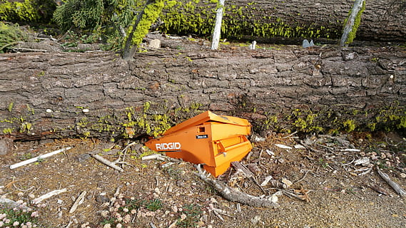 Smashed, Tree, Fall, Ironic, tree fall, tree smashed, beehive, apiculture, no people, outdoors, day, bee, nature, land, yellow, field, plant, solid, high angle view, growth, environmental issues, dirt, orange color, environment, water, sunlight, garbage, rock, rock - object, pollution, 5K, CC0, public domain, royalty free