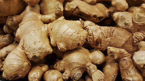Ingwer viel, Ingwer, Wurzel, würzen, Kraut, Zutat, Würze, würzig, Lebensmittel, roh, Kräuter-, asiatische Küche, Koch, aromatisch, Küche, gesund, Gemüse, Wurzelgemüse, essbar, Rhizome, zingiber officinale, Essen und Trinken, Frische, große gruppe von gegenständen, Vollbild, Hintergründe, Wohlbefinden, gesundes Essen, Stillleben, Nahansicht, Fülle, keine Leute, drinnen, Rohkost, Markt, Nuss, geröstet, Snack, 5K, CC0, gemeinfrei, lizenzfrei