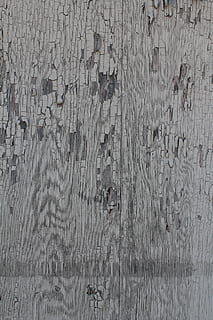 mønster, desktop, stof, gammel, abstrakt, træ, malet, baggrunde, fuld ramme, tekstureret, træ - materiale, ingen mennesker, forvitret, murbygningsfunktion, tæt på, ru, dag, beskadiget, planke, bygget struktur, skrælle af, maling, trækorn, udendørs, tekstureret effekt, 5K, CC0, offentligt domæne, royaltyfrie