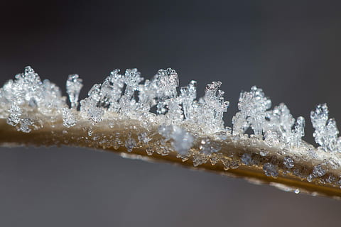 Eiskristalle, Winter, Makro, Eis, Kristalle, Kristallbildung, Schnee, kalte Temperatur, gefroren, Natur, Wasser, Kristall, keine Leute, Nahansicht, Schneeflocke, Bewegung, weiße Farbe, Studioaufnahme, draußen, kopieren sie platz, Umgebung, schwarzer Hintergrund, gefrorenes Wasser, Reinheit, Pulverschnee, 5K, CC0, gemeinfrei, lizenzfrei