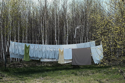 gris, text, penjar, sec, arbres forestals, blau, tèxtil, penjant, estenedor, marró, penjat, arbre, bosc, herba, naturalesa, a l'aire lliure, cap gent, assecat, bugaderia, pinça de roba, roba, planta, dia, terra, tronc, tronc de l'arbre, material, camp, tranquil·litat, netejar, 4K, CC0, domini públic, lliure de regalies