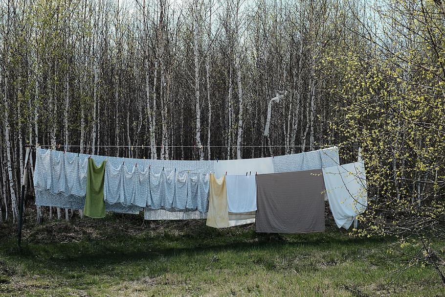 gris, text, penjar, sec, arbres forestals, blau, tèxtil, penjant, estenedor, marró, penjat, arbre, bosc, herba, naturalesa, a l'aire lliure, cap gent, assecat, bugaderia, pinça de roba, roba, planta, dia, terra, tronc, tronc de l'arbre, material, camp, tranquil·litat, netejar, 4K