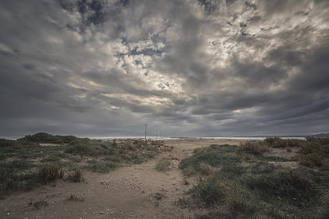 landskapsfotografering, gräsfält, moln, molnig, natur, himlen moln, miljö, himmel, naturlig, himmel bakgrund, clouds, väder, öken-, sand, strand, moln - himmel, landskap, skönhet i naturen, växt, landa, scenics - natur, lugn, icke-urbana scenen, inget folk, lugn plats, mulen, dag, gräs, fält, utomhus, träd, torrt klimat, halvtorrt, 2K, CC0, offentligt domän, royaltyfria