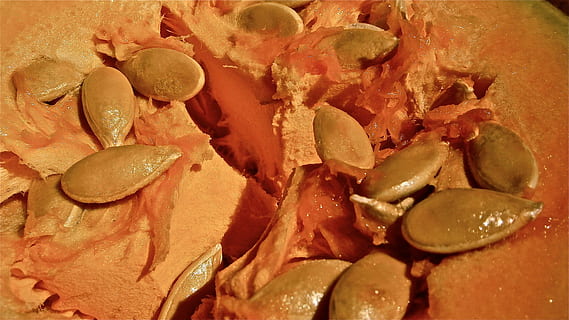 pumpkin, fruit, seed, vegetable, nature, food and drink, indoors, close-up, food, full frame, still life, freshness, no people, backgrounds, healthy eating, wellbeing, large group of objects, meat, high angle view, orange color, slice, group, group of objects, spice, snack, 4K, CC0, public domain, royalty free