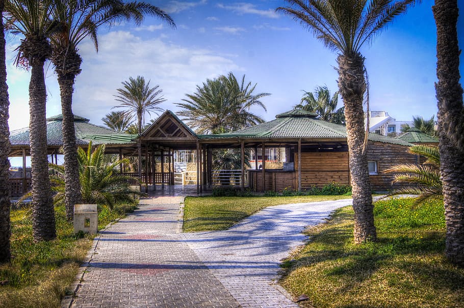 Palma, árvore, verão, hotel, viagem, arquitetura, estrutura construída, plantar, construção, exterior do edifício, casa, Palmeira, natureza, Distrito residencial, trilha, clima tropical, grama, céu, o caminho a seguir, direção, nuvem - céu, estrada, ninguém, dia, ao ar livre, 4K