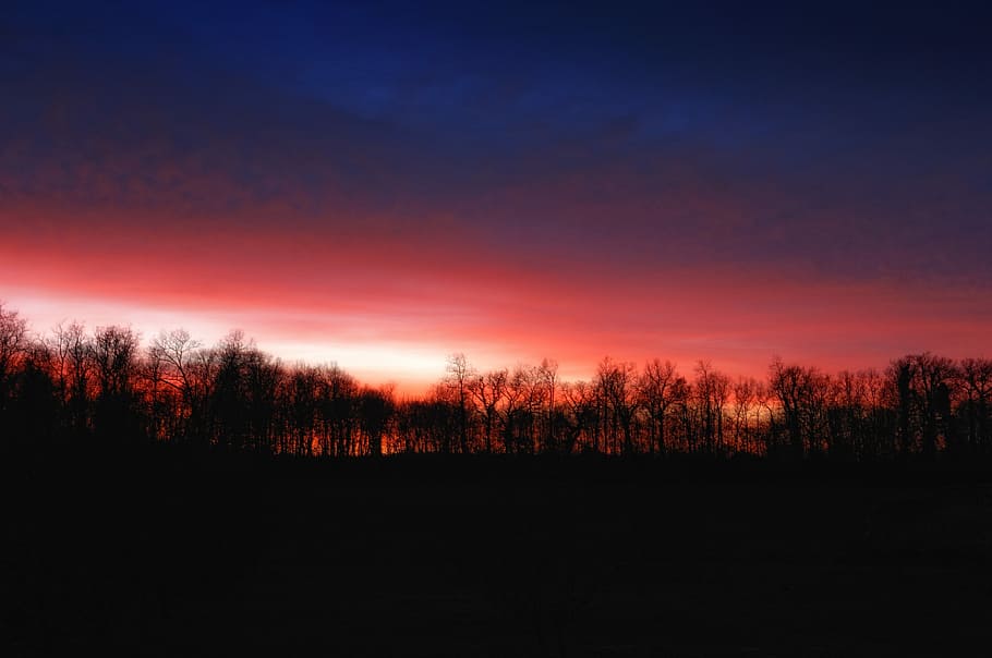 aurinko, auringonlasku, ilta, yö-, pilvi, iltahämärä, oranssi, luonto, valo, maisema, taivas, puu, hämärä, ulkona, scenics, siluetti, metsä, kauneus luonnossa, oranssi väri, auringonvalo, punainen, tyyneys, rauhallinen kohtaus, maisemat - luonto, ei ihmisiä, kasvi, ympäristö, pilvi - taivas, maa, ei-kaupunkikuvia, idyllinen, tumma, 4K