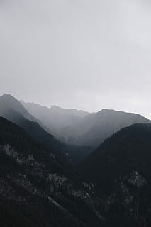 munți elvețieni, siluetă, Munte, cețuri, nor, cer, aburi, ceaţă, copac, pădure, zăpadă, vale, stâncă, alp, deal, vârf, a urca, frumusețe în natură, scenice - natura, liniște, natură, de munte, o scenă liniștită, mediu inconjurator, peisaj, cer senin, spațiu copie, scenă non-urbană, în aer liber, teren, idilic, nici o persoana, zi, varf de munte, înalt, 5K, CC0, domeniu public, fără drepturi de autor